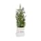 14.25" & 16.5" Unlit Pine Artificial Potted Christmas Tree Set